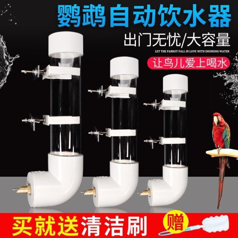 Parrot drinker hits the needle automatic water drinker feeder Tanker Bird with a kettle cylinder bird box