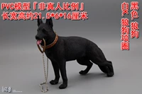 Черный Волк собака + белый К. Волф -воротник