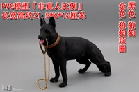 Черный Волк собака + золотой. Волф -ошейник