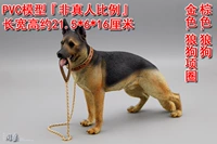 Коричневый. Волк собака + золотой. Волф -ошейник