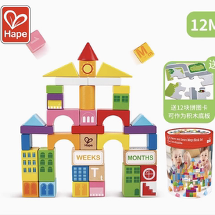 Hape100粒积木玩具益智学习拼装