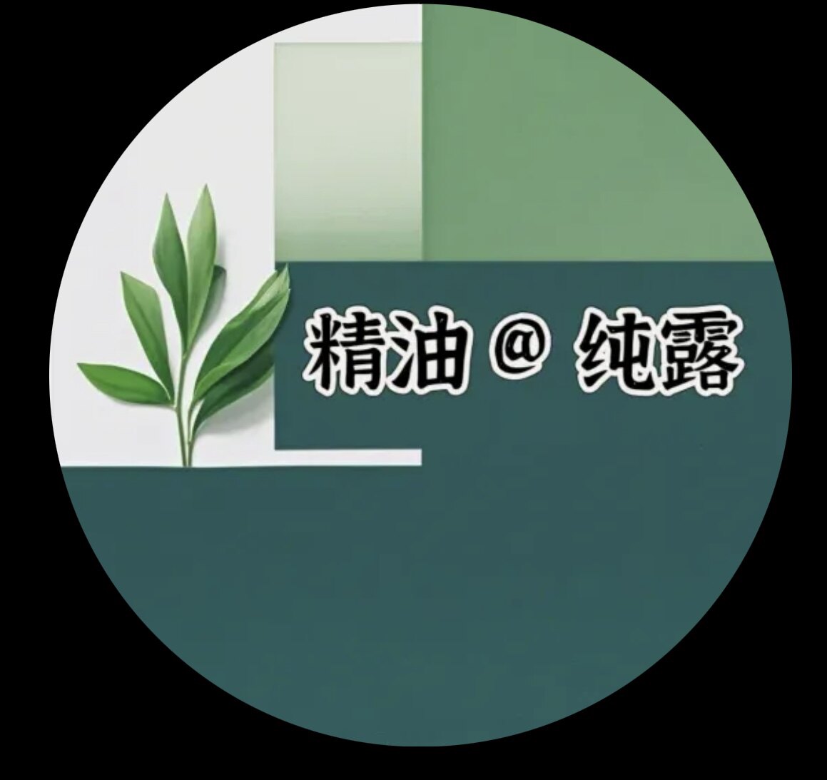 芳时弥香定制芳疗馆的LOGO