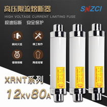  Songzhika XRNT-10KV12KV 50A100A High breaking capacity High voltage current limiting fuse(SDLAJ)