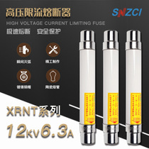 Pine Card XRNT-12 6 3-40-16-20-25A high voltage current limiting fuse XRNT1-10KV