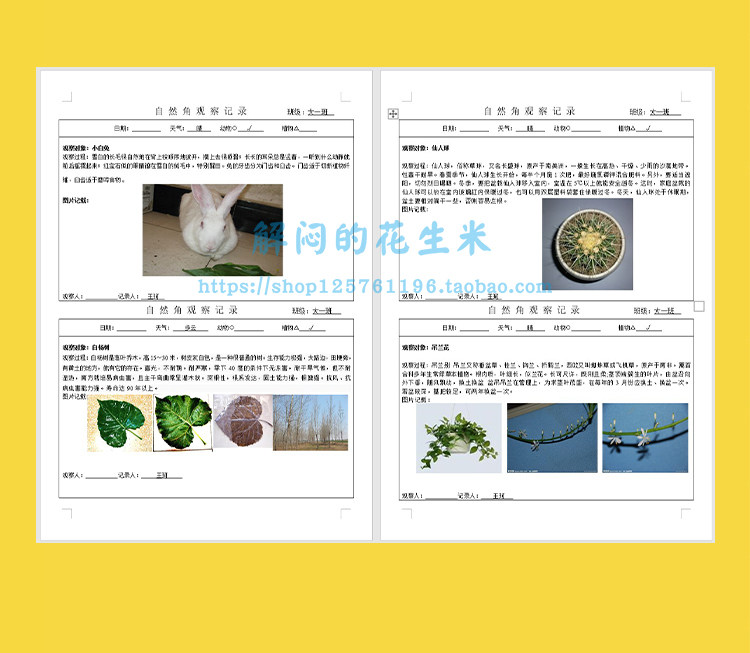 幼儿园教师区域活动游戏观察记录范文本模板大班中班小托班电子版