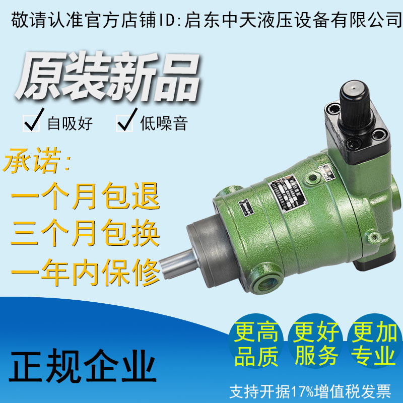 10YCY 10YCY 25YCY 25YCY 63YCY 63YCY 80YCY 160YCY14-1B 160YCY14-1B 160YCY14-1B Enlight-plunger oil pump-Taoba
