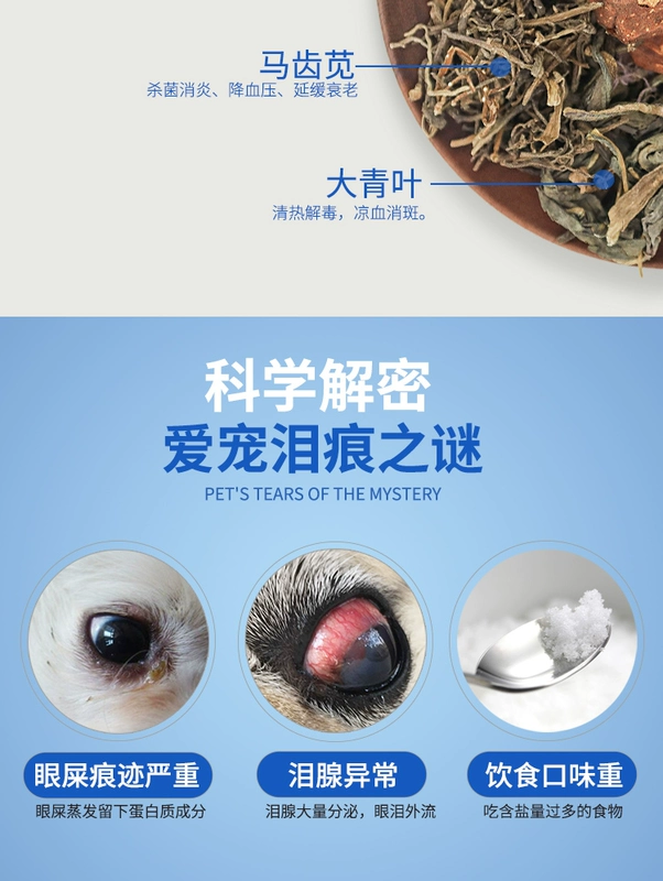 Chó mèo chữa cháy vàng chó chống virut giải độc táo bón chảy nước mắt khô mắt có thể ăn khô - Cat / Dog Health bổ sung