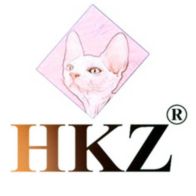 hkz工厂企业店的LOGO
