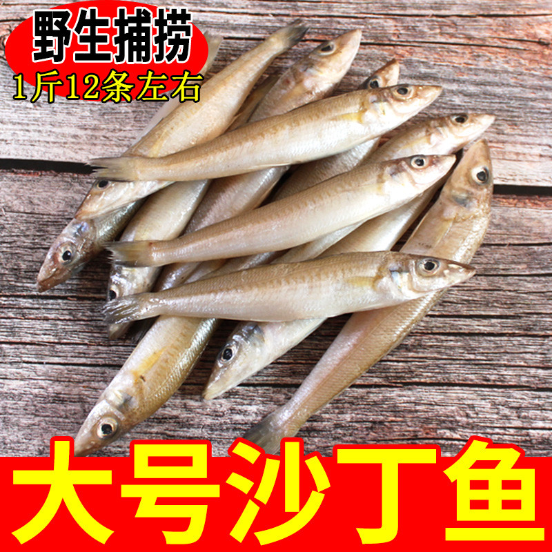 Large sardines fresh sea caught deep-sea fish fresh frozen quick-frozen 3 catties chilled seafood aquatic barbecue ingredients