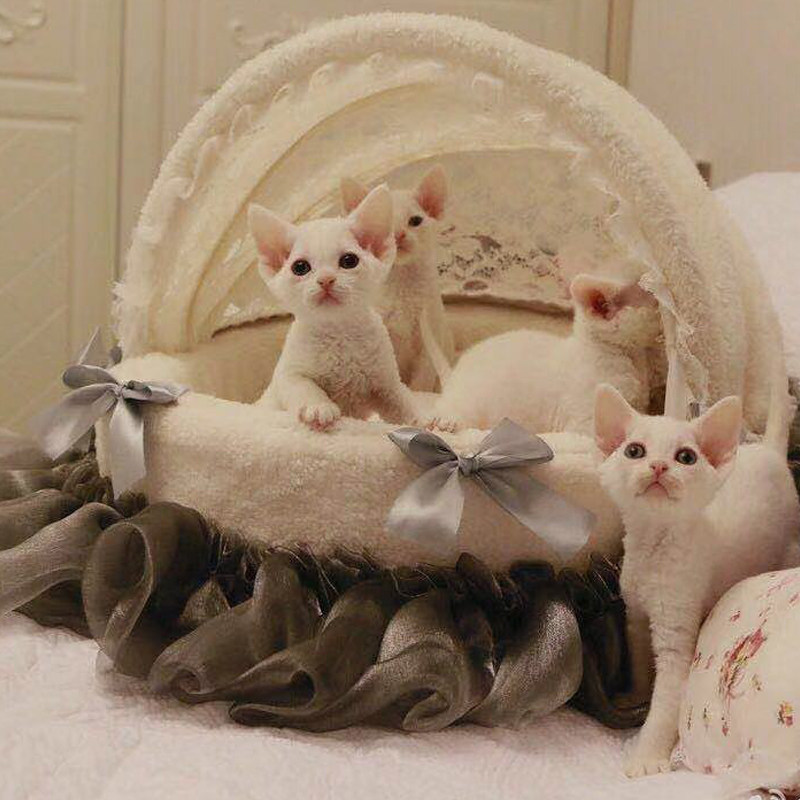 Pet Mesh Red Cradle Bed All Season Universal Removable Wash Dog Kennel Dog Bed Teddy Small Medium Dogs Ins Warm