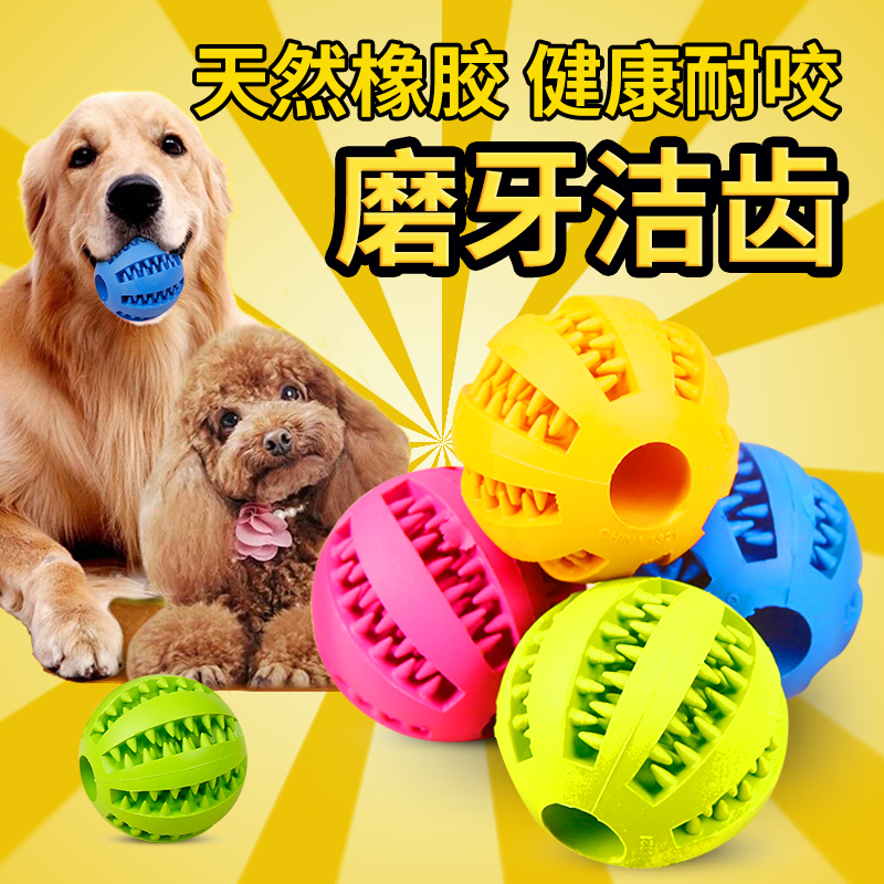 Dog toy gold hairy large dog resistant to biting ball teddy young dog grindle natural rubber pet toy dentity stink