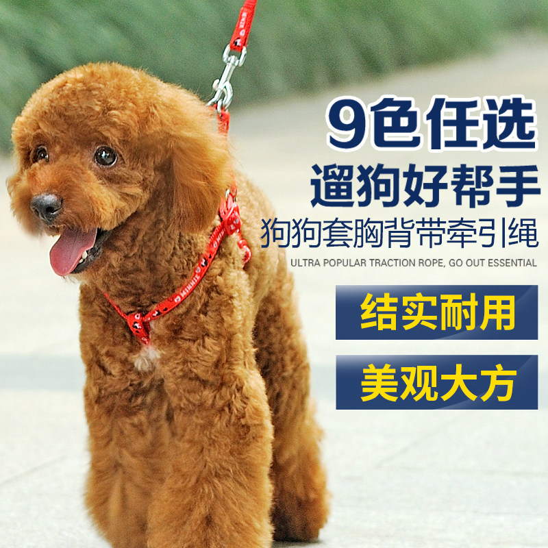 Dog Chain Pet Leash Chest Baby Bag Teddy VIP Golden Retriever Large Medium Small dog leash