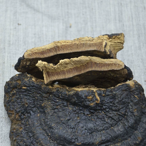 Тонкая деревья -редька тонкая покровная ганодерма lucidum ganoderma lucidum ganoderma lucidum linzhi сухой специальные сухие товары 250 г можно нарезать