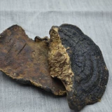 Тонкая деревья -редька тонкая покровная ганодерма lucidum ganoderma lucidum ganoderma lucidum linzhi сухой специальные сухие товары 250 г можно нарезать