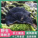 Тонкая деревья -редька тонкая покровная ганодерма lucidum ganoderma lucidum ganoderma lucidum linzhi сухой специальные сухие товары 250 г можно нарезать