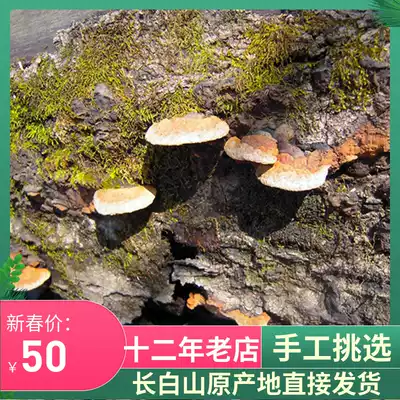 Authentic pure wild Poplar Mulberry Changbai mountain Poplar Mulberry Mulberry selection 50 yuan and a half catty