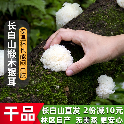 Тремелла из горной липы Чанбайшань, снежный гриб, белый гриб, клейкое ухо, клейкое ухо, настоящая сушеная тремелла, сушеная тремелла, без серы, фейтунцзян
