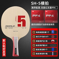 SH5 Горизонтальный аукционный пакет A/Подарочный пакет Accessories Accessories