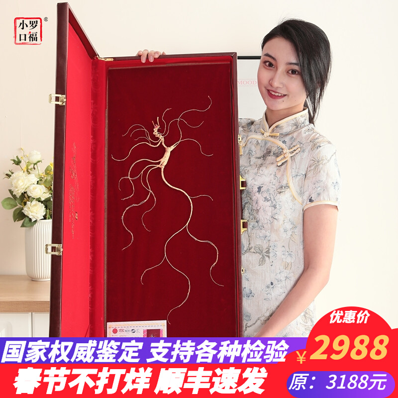 National inspection first class wild mountain ginseng gift New Year goods Northeast Mountain Ginseng Changbaishan Ginseng Gift Box Nourishing Pot Soup Fat SF