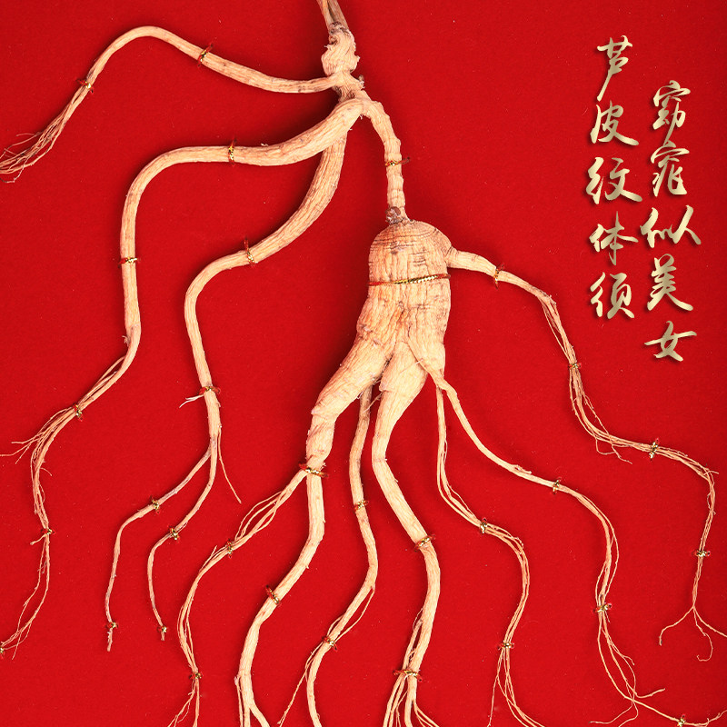 Special price Elderly and disabled Wild Mountain Ginseng with certificate No gift box Forest down-moving Mountain Ginseng Northeast Jilin Changbai Mountain Ginseng