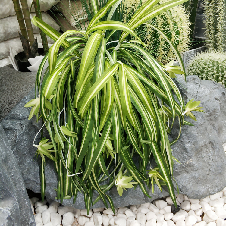 Simulation hanging orchid Fake flower wall decoration flower plant wall hanging orchid green edge bamboo leaf orchid hanging white line hanging orchid