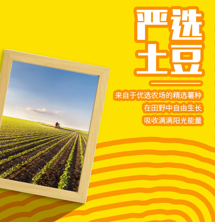 乐事 薯片休闲零食大礼包 6种口味10袋 图5
