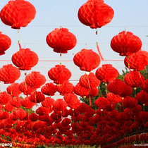 Small red paper lantern hanging decoration outdoor tree housewarming happy wedding opening new year decoration scene layout