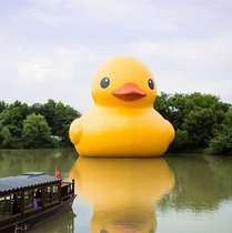 Custom outdoor large inflatable water big yellow duck big white goose closed air model cartoon publicity model