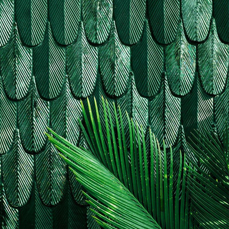 Fish love sugar Nordic dark green peacock feather brick kitchen powder room wall brick bathroom background wall tile mosaic