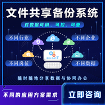 Enterprise computer data security U disk automatic intelligent real-time backup private cloud file outgoing control system