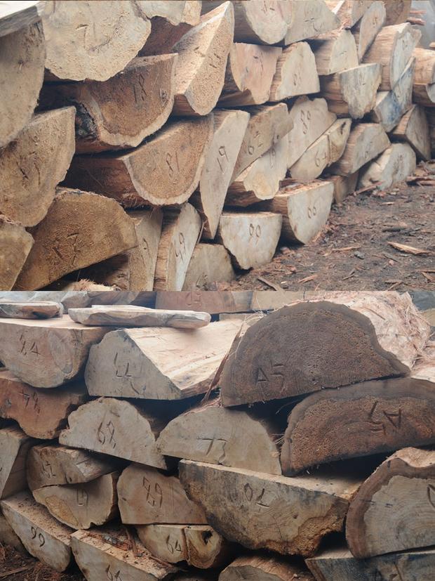 Gỗ rắn trụ gỗ lớn tấm khung gỗ gốc khắc cơ sở bàn trà chân bán nguyệt bằng gỗ cơ sở tròn gỗ gốc cây - Các món ăn khao khát gốc ghế gốc cây đẹp
