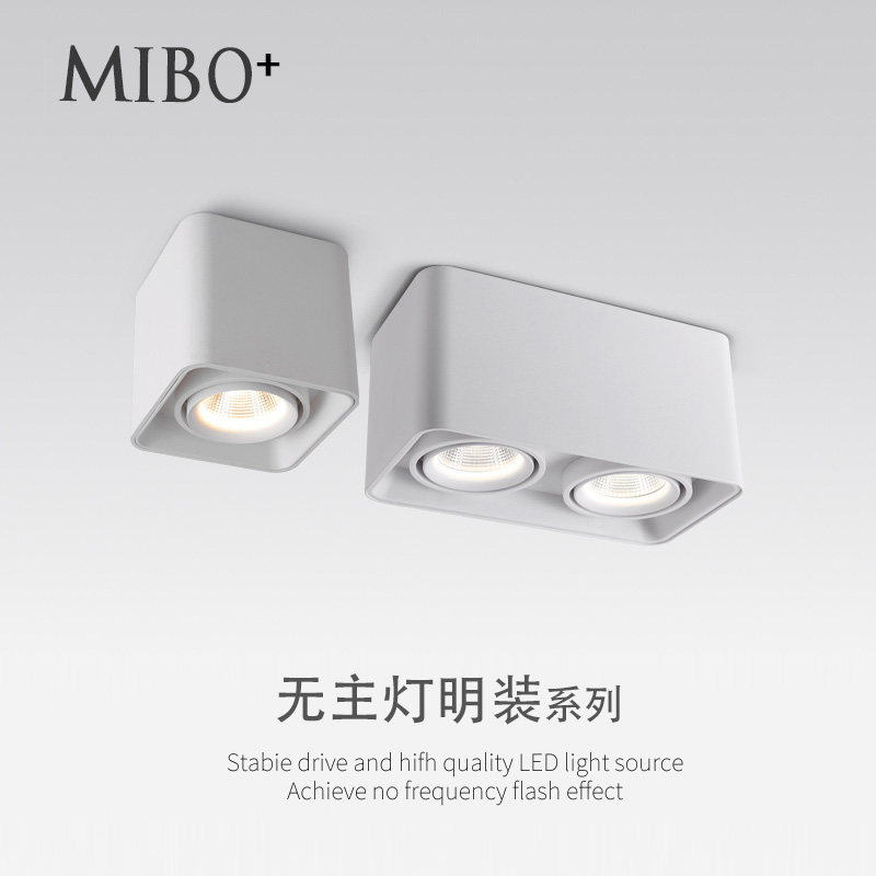 led surface mounted downlight home COB ceiling spotlight square double head bold light entrance living room without main light lighting