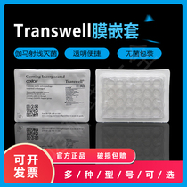 CORNING3422Transwell-24 Membrane nesting 6 5mm8 0um pore size PC membrane sterilization