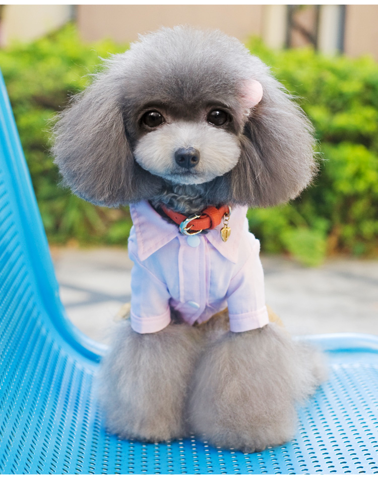 Chó dây quần áo Teddy VIP con chó nhỏ mùa xuân quần áo bốn chân con chó con hơn gấu con chó cưng quần áo bông - Quần áo & phụ kiện thú cưng mũ cho chó
