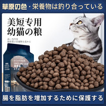 Grassland color _ beauty short cat special cat food cat main grain cat fat-growing fattening hush fish 1-12 months 2kg