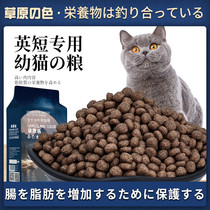 English short cat food special blue cat young cat food for 1-4 months into cat deep sea fish meat kitty grain natural grain 4 kilos