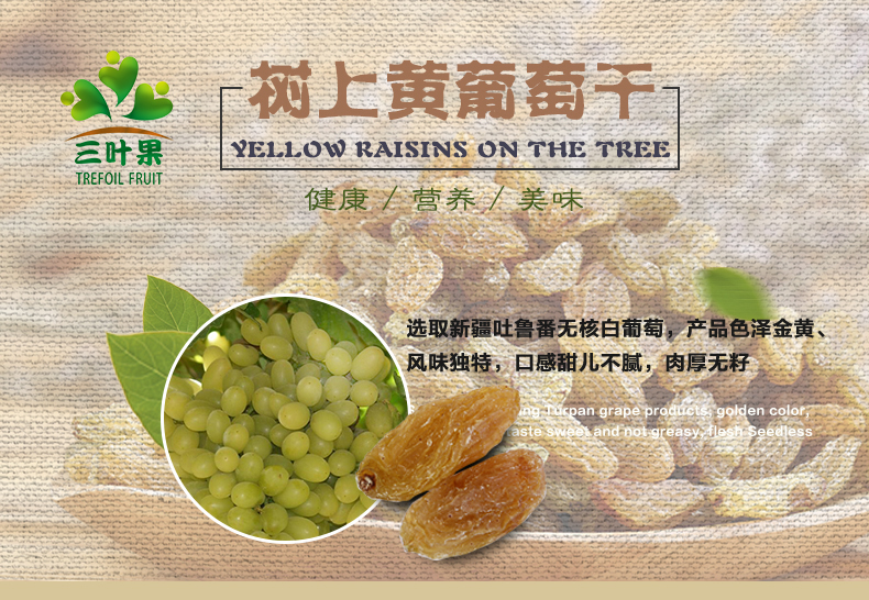 三叶果 吐鲁番葡萄干250g 试吃装 图1