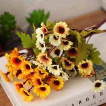 Pastoral creative succulent plant simulation flower fake flower potted ornament interior mini green plant photography props decoration