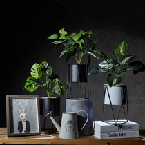 Simple Nordic living room office cement flowerpot decoration simulation turtle leaf plant decoration green light indoor potted plants