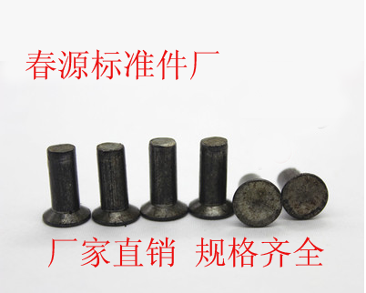 Manufacturer Direct sales solid rivet GB869 sink head rivet flat cone head iron rivet M2 * 4 * 16M2 5 * 8 * 20