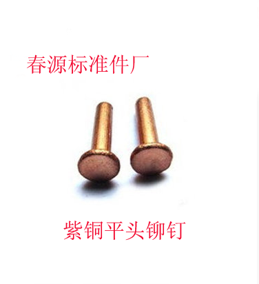 Solid rivets flat head semicircular head countersunk head flat cone head copper rivets M3*4 M4*8*30 factory direct sales