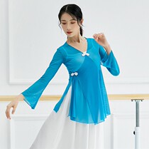 Gong Yan classical dance body rhyme gauze dance clothes modern Chinese classical National Teacher clothes show costumes
