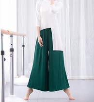 Modern dance wide leg pants female adult practice uniform loose size modal yoga costume classical Dai dance pants