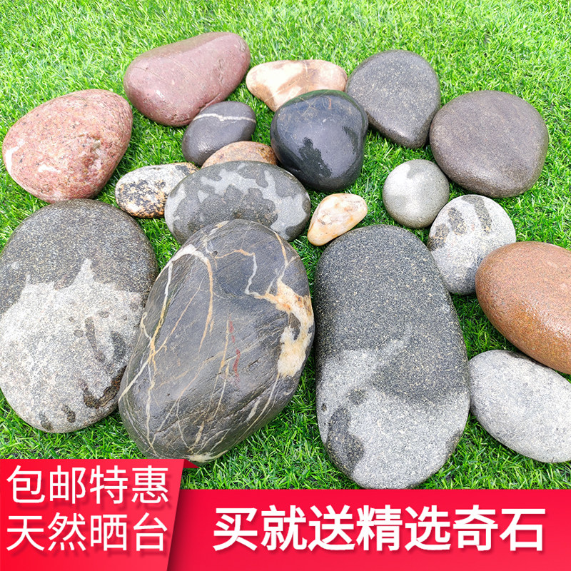 Natural turtle sunning platform climbing platform stone large landscape pebble turtle tank floating island sunning back stone climbing pet fish tank landscaping