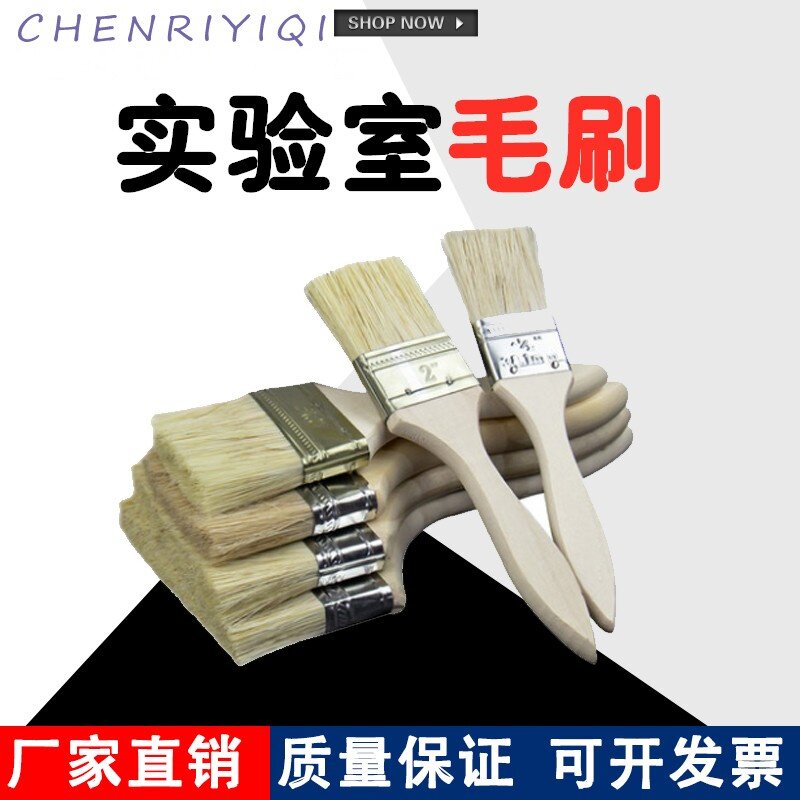 实验室专用毛刷 木头手柄毛刷大中小 刷子