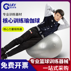 Basketball Training Equipment Thickened Explosion-Proof Yoga Ball Gym Training Exercise Core Strength Dragon Ball 85cm
