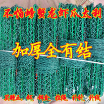 Knotted shrimp cage shrimp net thickened crab cage fishing artifact to catch large crayfish net turtle cage net turtle cage