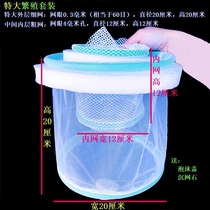 New suspended oviparous fish medaka zebra fairy fighting swallow golden wave splash budgerigar parrot breeding net