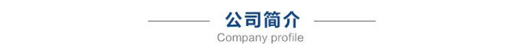 Mobile Loading Platform, Container Unloading, Small Unloading Tool, Truck Loading, Electric Hydraulic Loading Platform