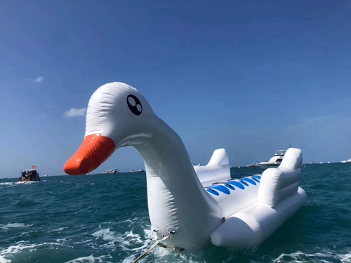 B.Duck, водный надувной диван, гоночный автомобиль, кушон, петух